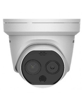 Hikvision Thermal and Optical IP Camera (2 lenses) (Dome)