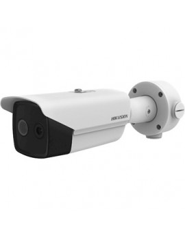 Hikvision Thermal and Optical IP Camera (2 lenses) 